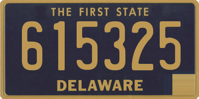 DE license plate 615325