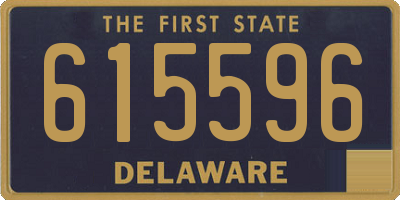 DE license plate 615596