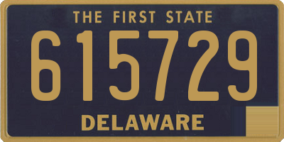 DE license plate 615729