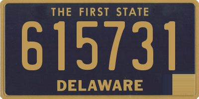 DE license plate 615731
