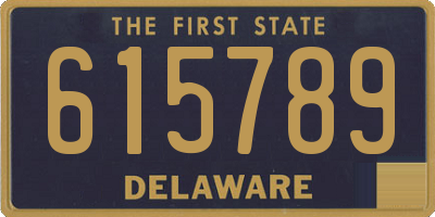 DE license plate 615789