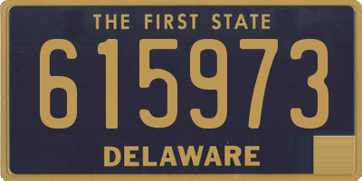 DE license plate 615973