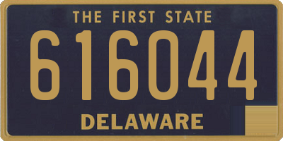 DE license plate 616044