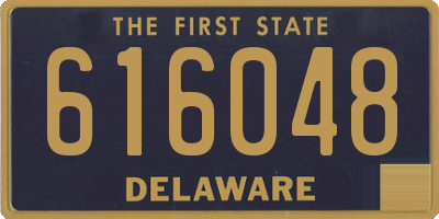 DE license plate 616048