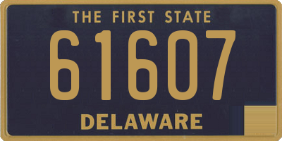 DE license plate 61607