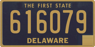 DE license plate 616079