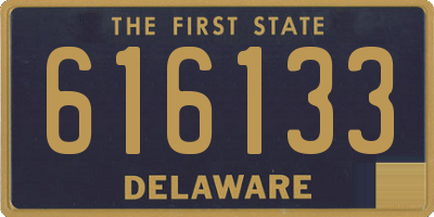 DE license plate 616133