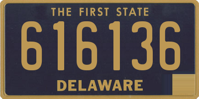 DE license plate 616136