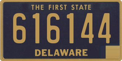 DE license plate 616144