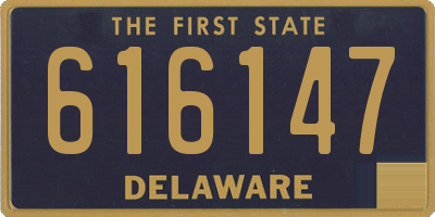 DE license plate 616147