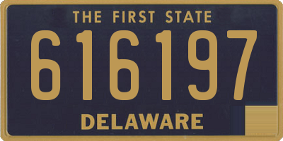 DE license plate 616197