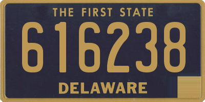 DE license plate 616238
