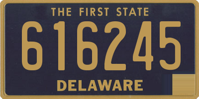 DE license plate 616245
