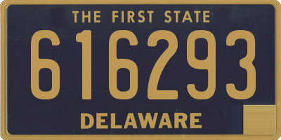 DE license plate 616293