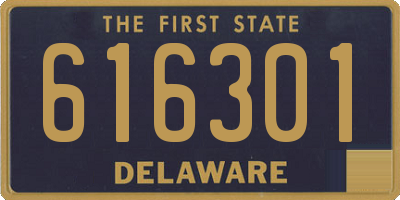 DE license plate 616301