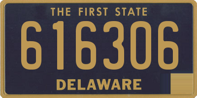 DE license plate 616306
