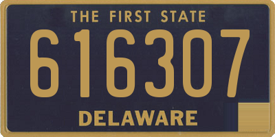 DE license plate 616307