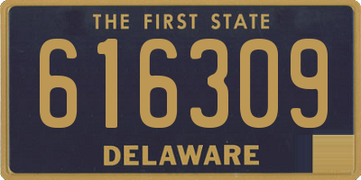DE license plate 616309