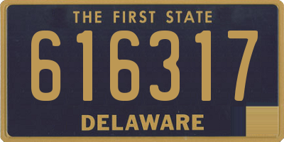 DE license plate 616317