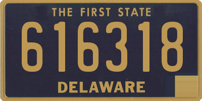 DE license plate 616318