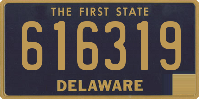 DE license plate 616319