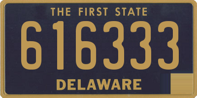 DE license plate 616333