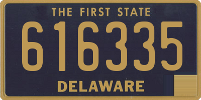 DE license plate 616335