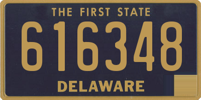 DE license plate 616348