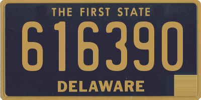 DE license plate 616390