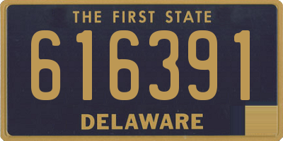 DE license plate 616391