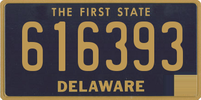 DE license plate 616393