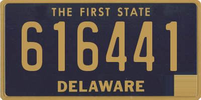 DE license plate 616441