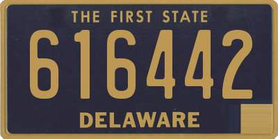 DE license plate 616442