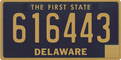 DE license plate 616443