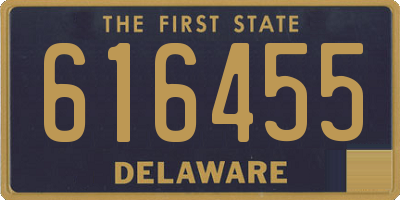 DE license plate 616455