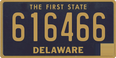 DE license plate 616466
