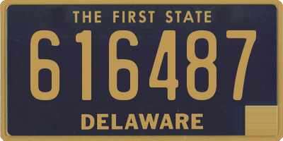DE license plate 616487