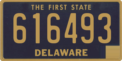 DE license plate 616493
