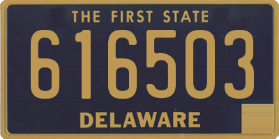 DE license plate 616503