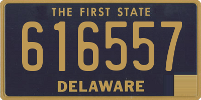 DE license plate 616557