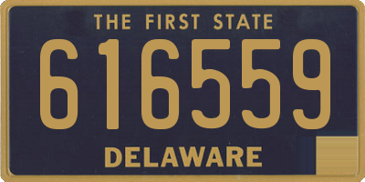 DE license plate 616559
