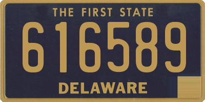 DE license plate 616589