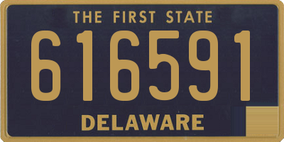 DE license plate 616591