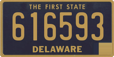 DE license plate 616593