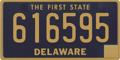 DE license plate 616595
