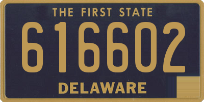 DE license plate 616602