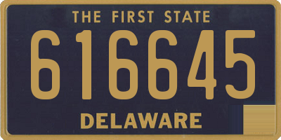 DE license plate 616645