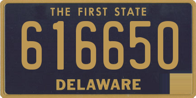 DE license plate 616650