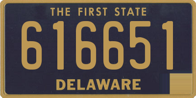 DE license plate 616651