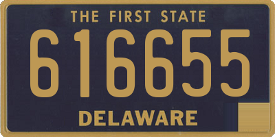 DE license plate 616655